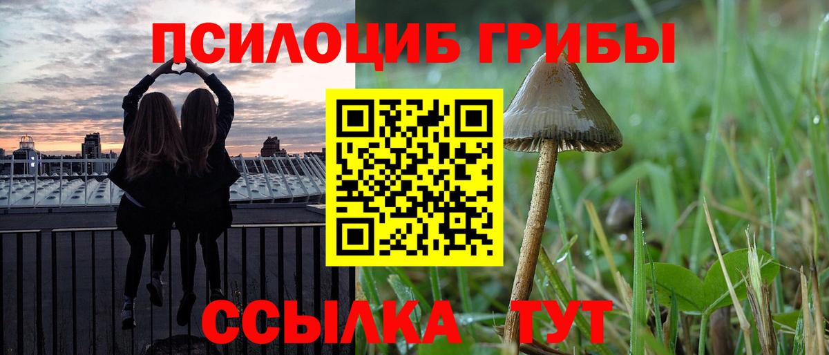 Псилоцибиновые грибы Magic Shrooms  Вход с VPN  Углич  Псилоцибиновые грибы мицелий 
